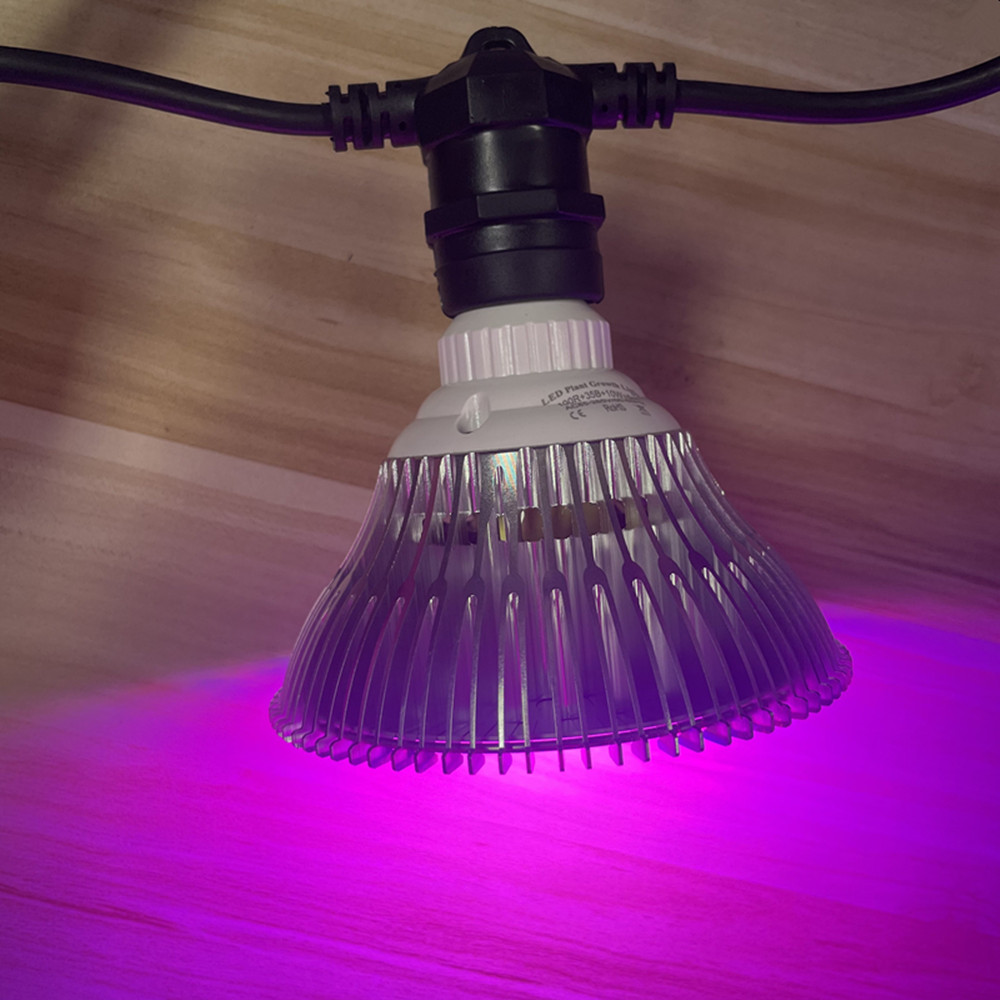 Светодиодная гирлянда 10 м, ко – обзор и цена Outdoor Lighting Brands